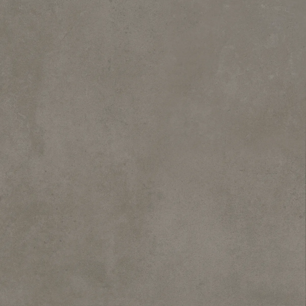 02ef2234923dde4ab174f9dd0f648486.webp 02ef2234923dde4ab174f9dd0f648486.webp