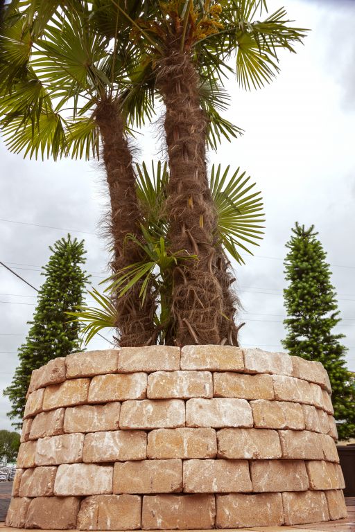 4906-4.jpg 4906-4.jpg