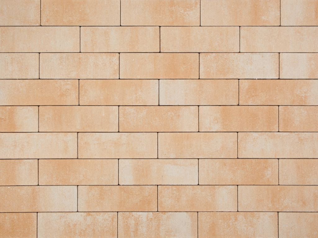 4981-1.jpg 4981-1.jpg